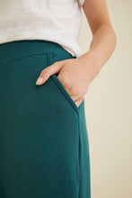 Load image into Gallery viewer, Skylar Luxe Fleece Joggers
